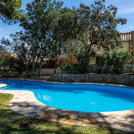 Domingo Pollenca